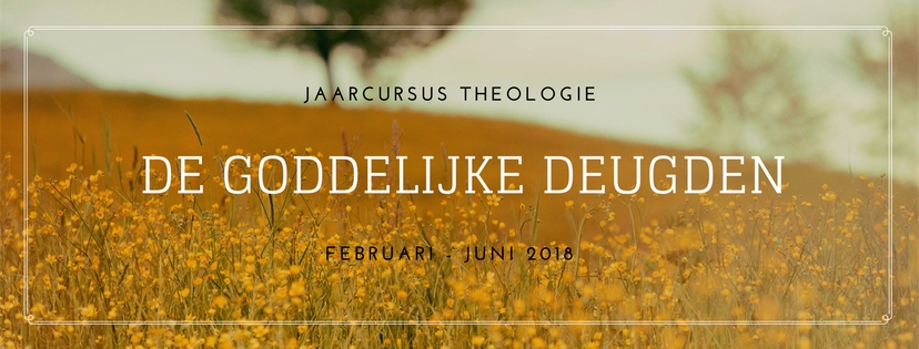 Jaarcursus Theologie FB omslag